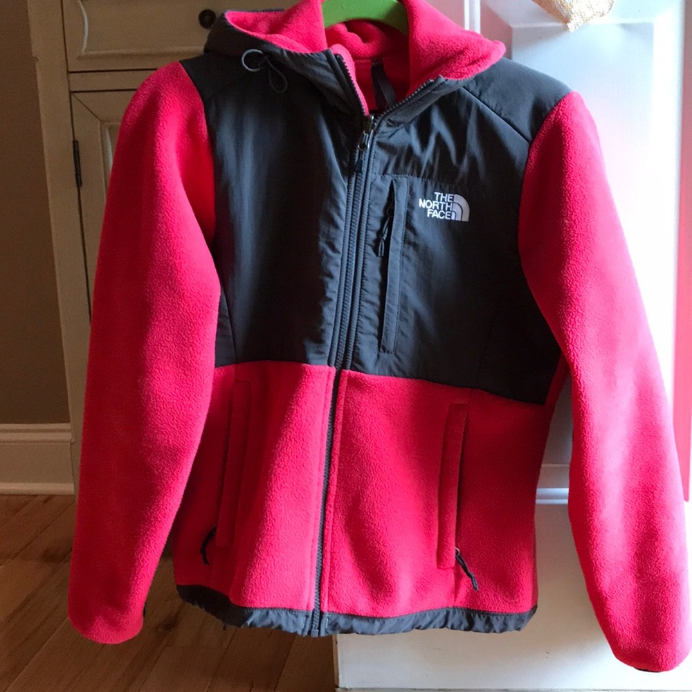 the North Face Polartec Fleece with hood